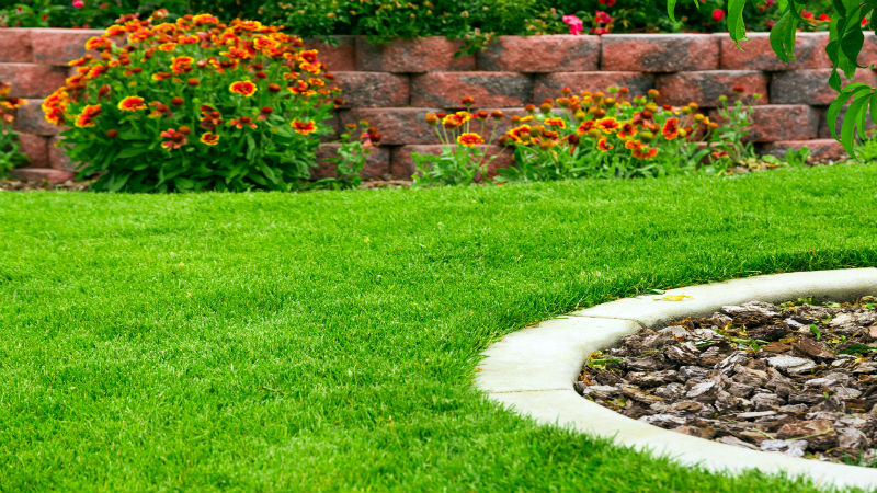 Keep Your Lawn Healthy with Weed Control Services in Flower Mound, TX