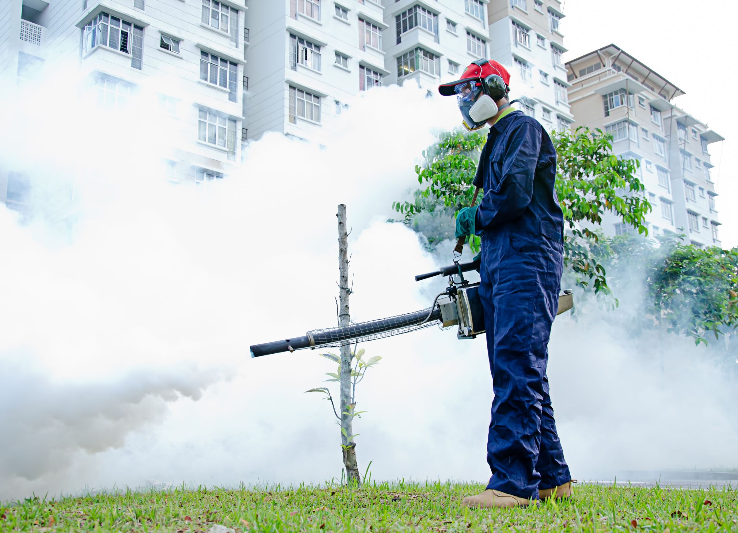 Why You Need Professional Minneapolis Exterminators to Eliminate Pests