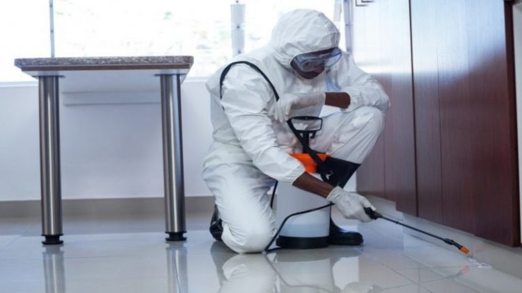 3 Benefits of Using Pest Control Services to Remove Unwanted Houseguests