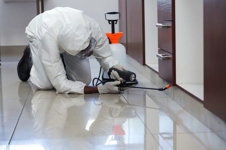 Try These Steps Before You Call Pest Control in Peachtree City GA