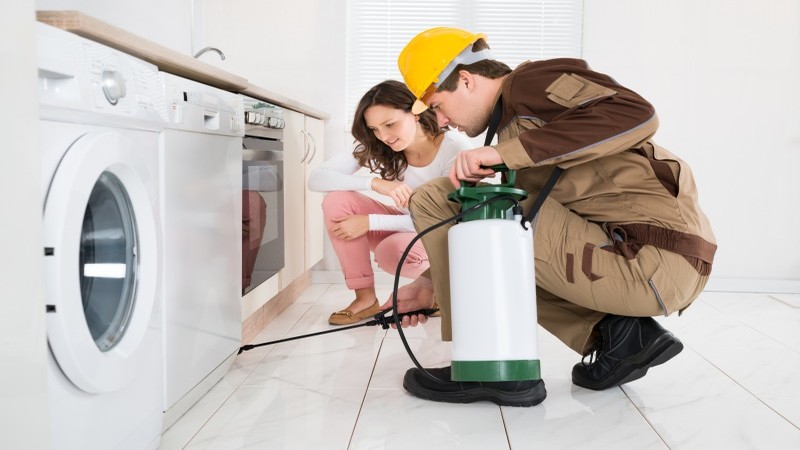 How to Find a Pest Control Management Company to Install a Mosquito Control System