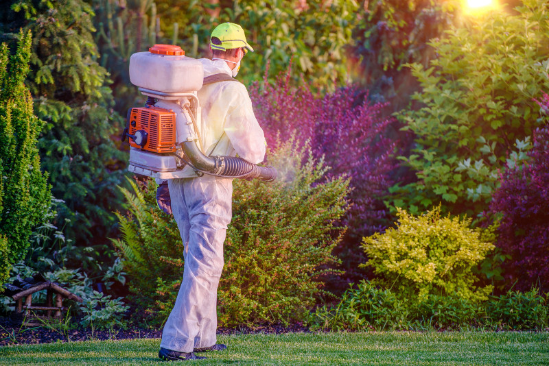 A Good Lawn Care Company in Louisville, KY, Takes Care of Any Size of Lawn