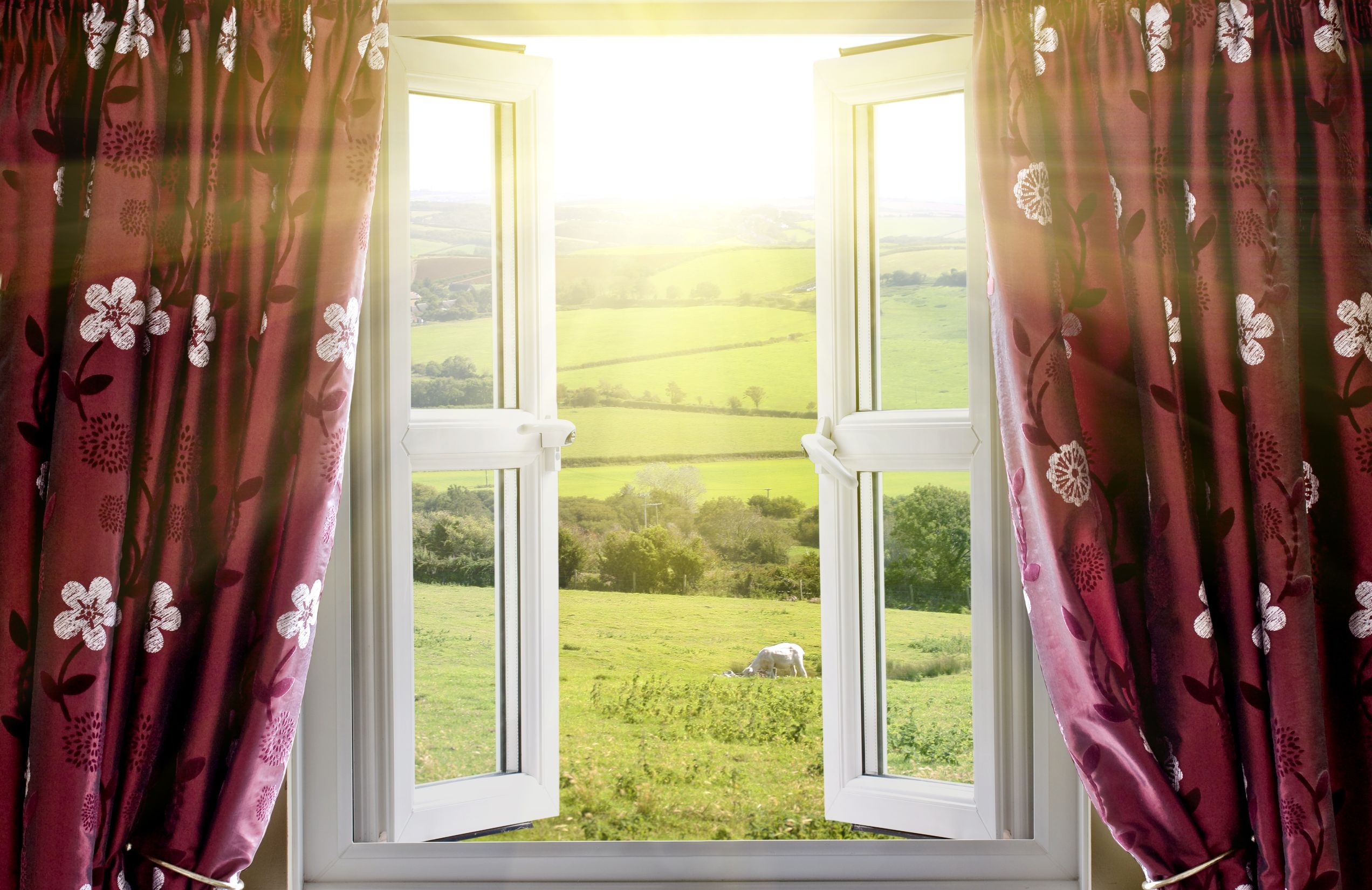 The Top Reasons You’ll Want To Buy New Home Windows In Illinois