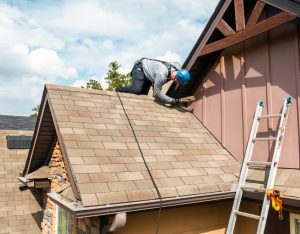 For Professional Bat Removal from Attic in Fayetteville, GA, the Pros Take Care of the Job Quickly