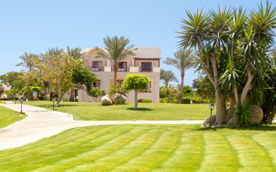 4 Lawn-Type Questions to Ask a Landscaping Contractor In Fresno, CA