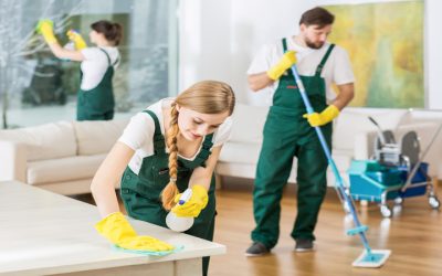 The Importance of a Clean Space: Professional House Cleaners in Surprise, AZ