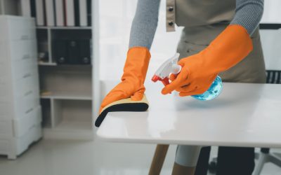 Fast and Efficient Home Cleaning Services Alameda CA Tailored for Your Unique Needs