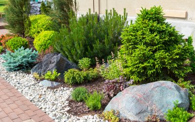 Transforming outdoor spaces: A Professional landscaping company in Fresno, CA, can enhance your property