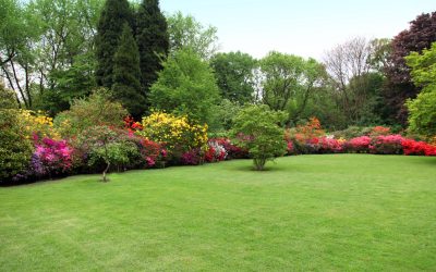 Enhance Property Value Choosing the Right Landscaping Contractor In Fresno CA