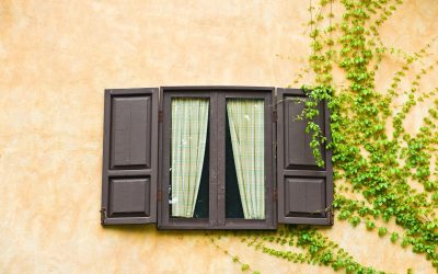 Enhance Your Property Value With Timeless Wood Windows In San Jose CA Residents Prefer