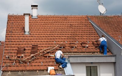 Improve curb appeal instantly after professional roof repair, Clearwater, FL, services provide