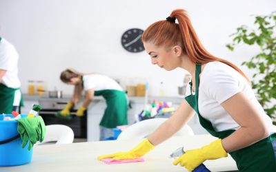 Experience Stress-Free Cleanliness as Maid Services In North Aurora, IL, Simplifies Busy Lifestyles