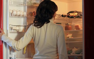 Ensure pure ice every day through professional ice machine maintenance in New Orleans LA