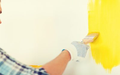 How Online Search Signals Shape Results for Top-Rated Painters Near Me in Rockford, IL