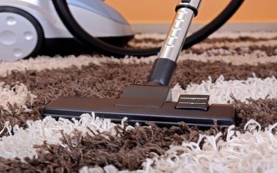 Secure Your Family’s Well-Being Through Professional Mold Testing in Jefferson, WI
