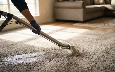 Professional Carpet Cleaning in Monterey: Methods, Benefits, and Care Tips
